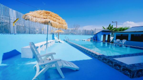 Rainforest·JIUQI holiday